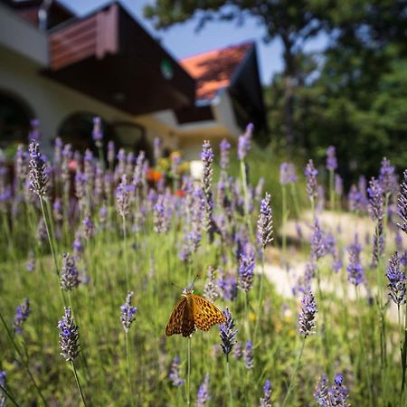 Zseri Vadaszhaz Fehérvárcsurgó Eksteriør billede